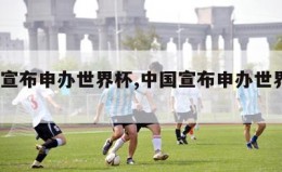 中国宣布申办世界杯,中国宣布申办世界杯2024